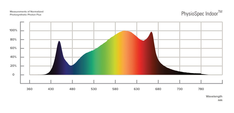 Osram FLUENCE Spyde LED-s