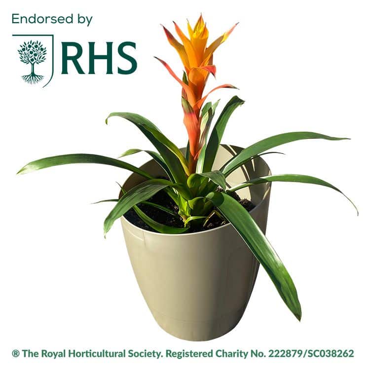 AutoPot ™ Khloris Watering System- Extension Kit