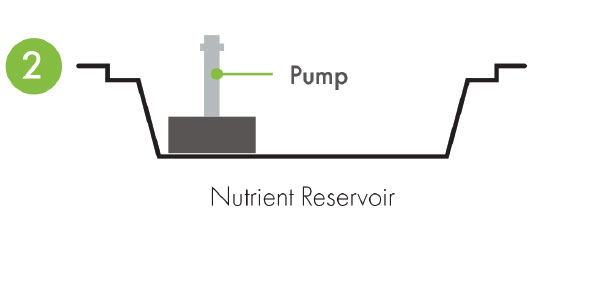 Eazy Plug ® System Pump