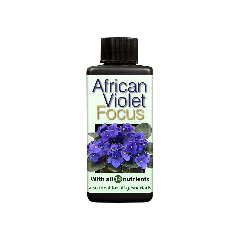 Growth Technology African Violet Focus