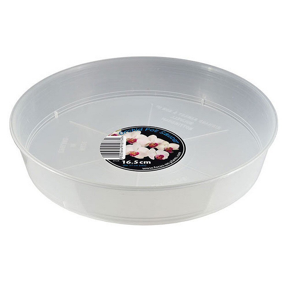 Growth Technology Clear saucer